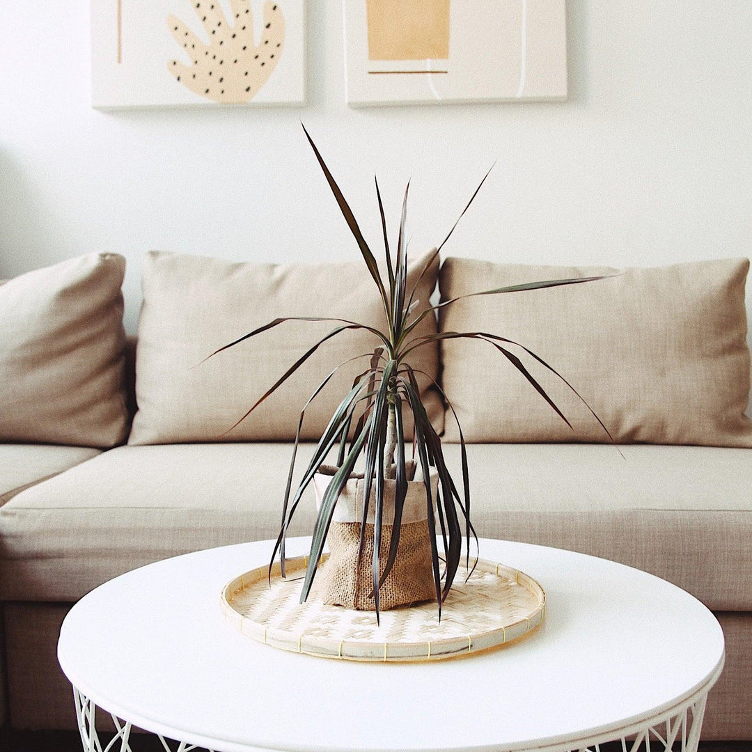 The Artisanal Bamboo Woven Round Tray
